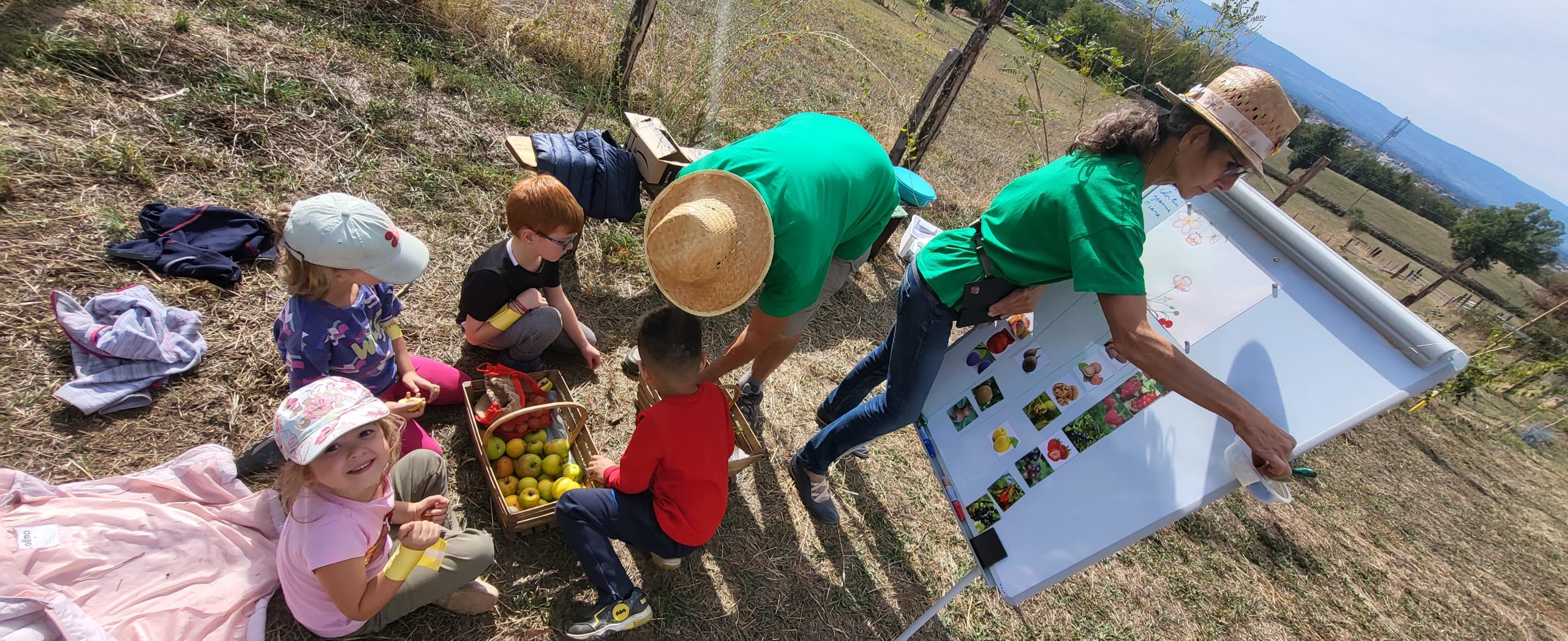 Atelier "autour du fruit"